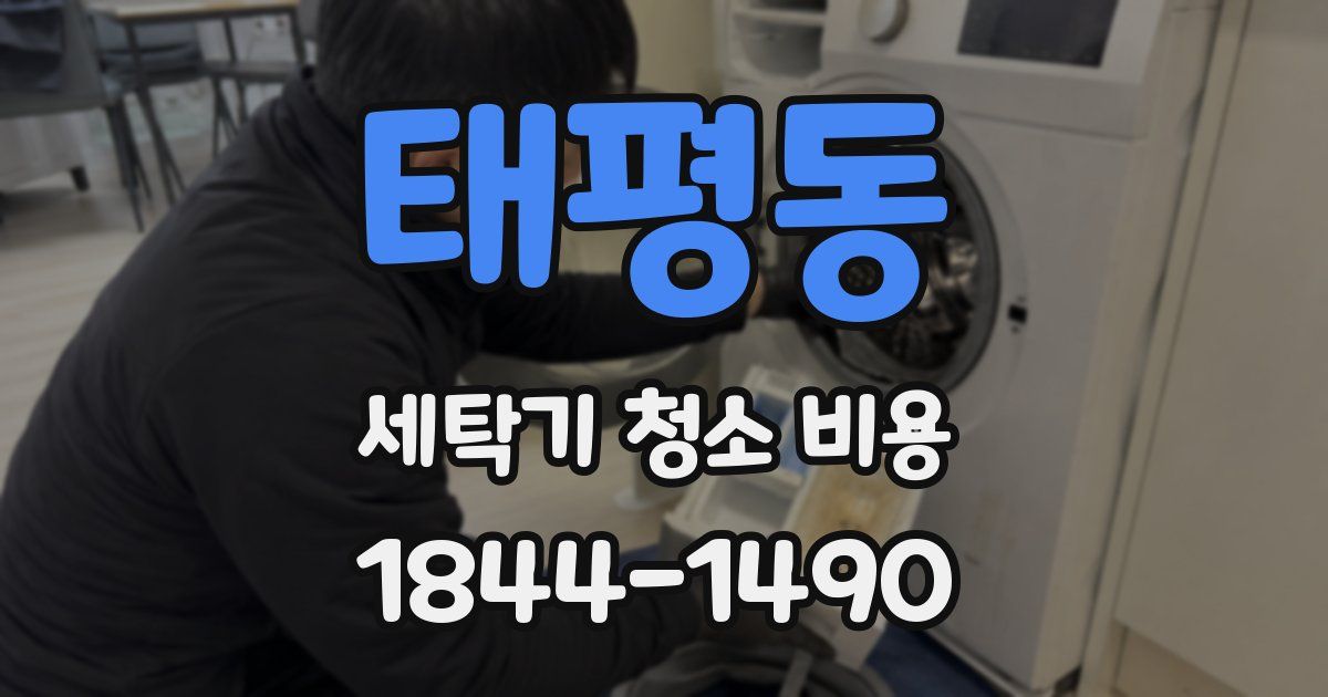 태평동 세탁기 청소 비용