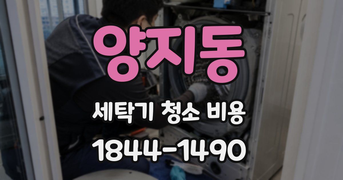양지동 세탁기 청소 비용