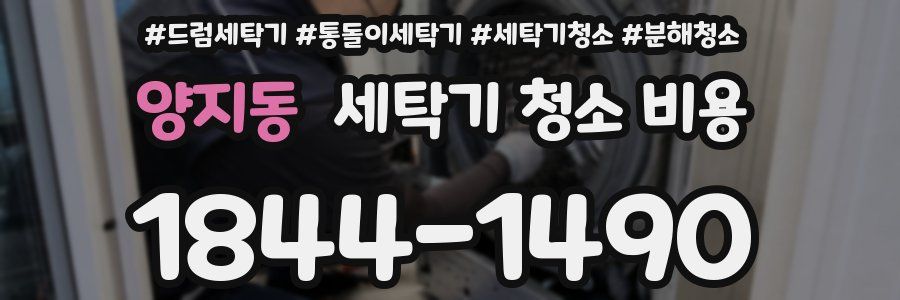 양지동 세탁기 청소 비용