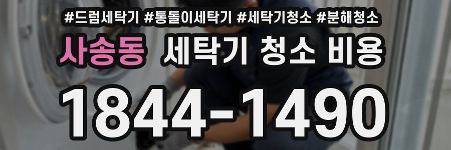 사송동 세탁기 청소 비용
