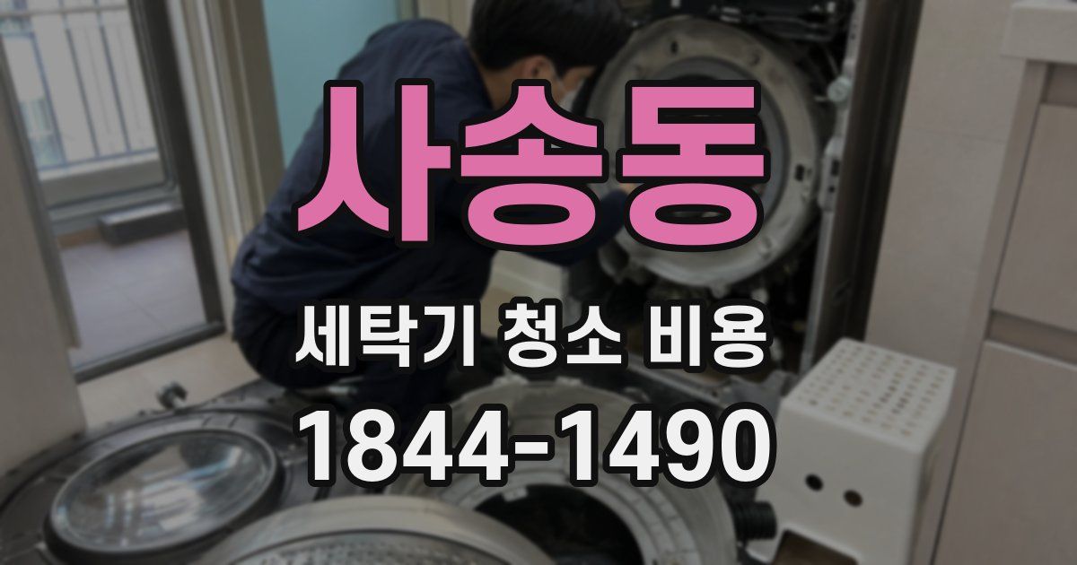 사송동 세탁기 청소 비용