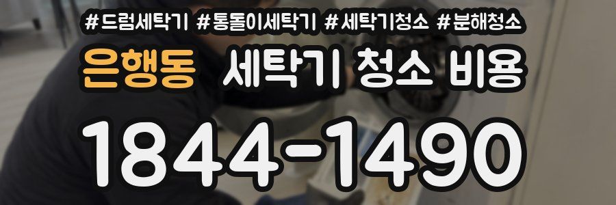 은행동 세탁기 청소 비용