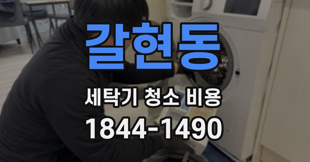 갈현동 세탁기 청소 비용