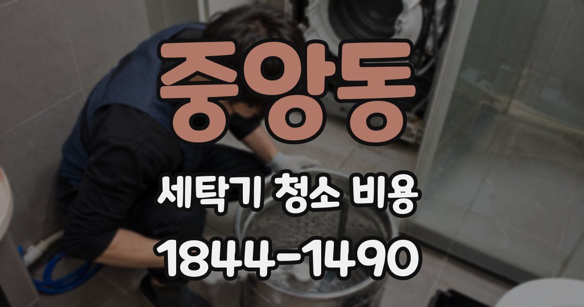중앙동 세탁기 청소 비용