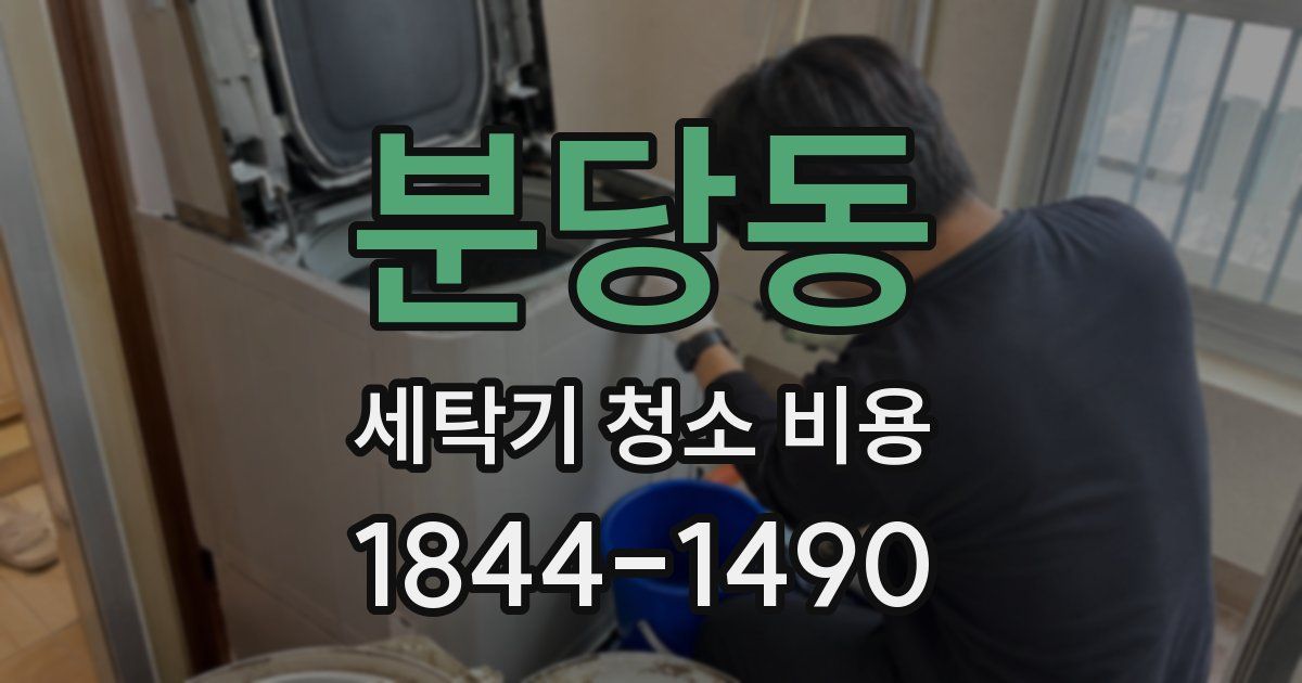 분당동 세탁기 청소 비용