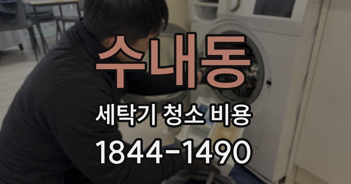수내동 세탁기 청소 비용