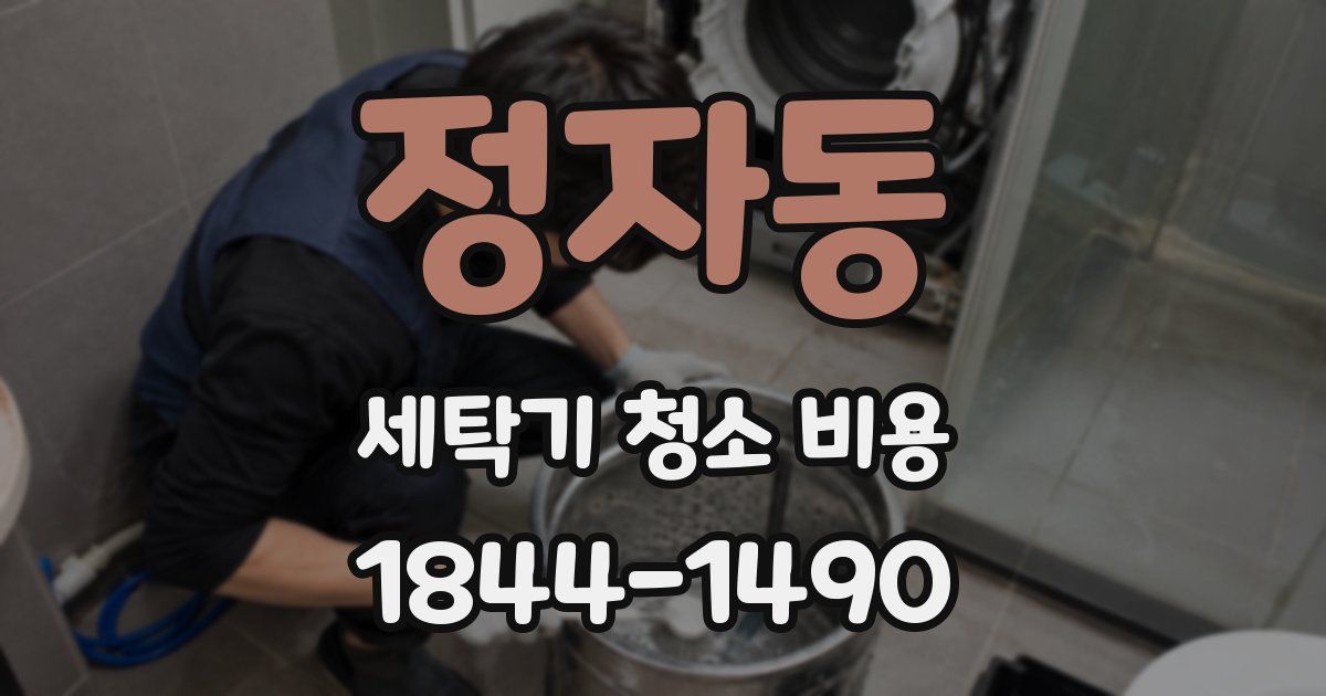 정자동 세탁기 청소 비용