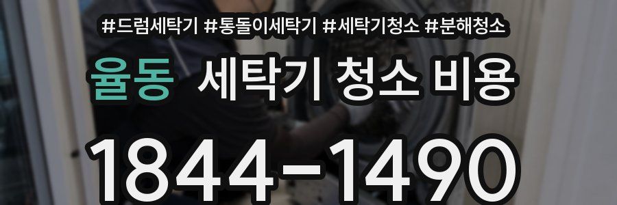 율동 세탁기 청소 비용