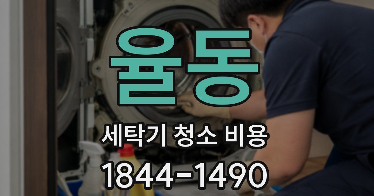 율동 세탁기 청소 비용