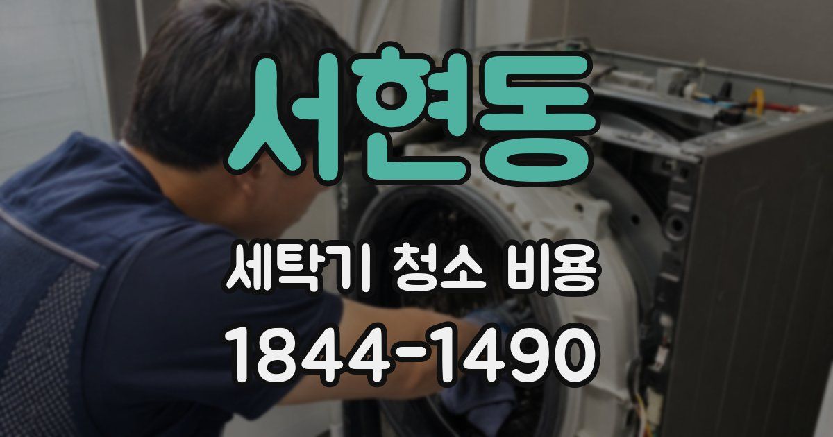 서현동 세탁기 청소 비용