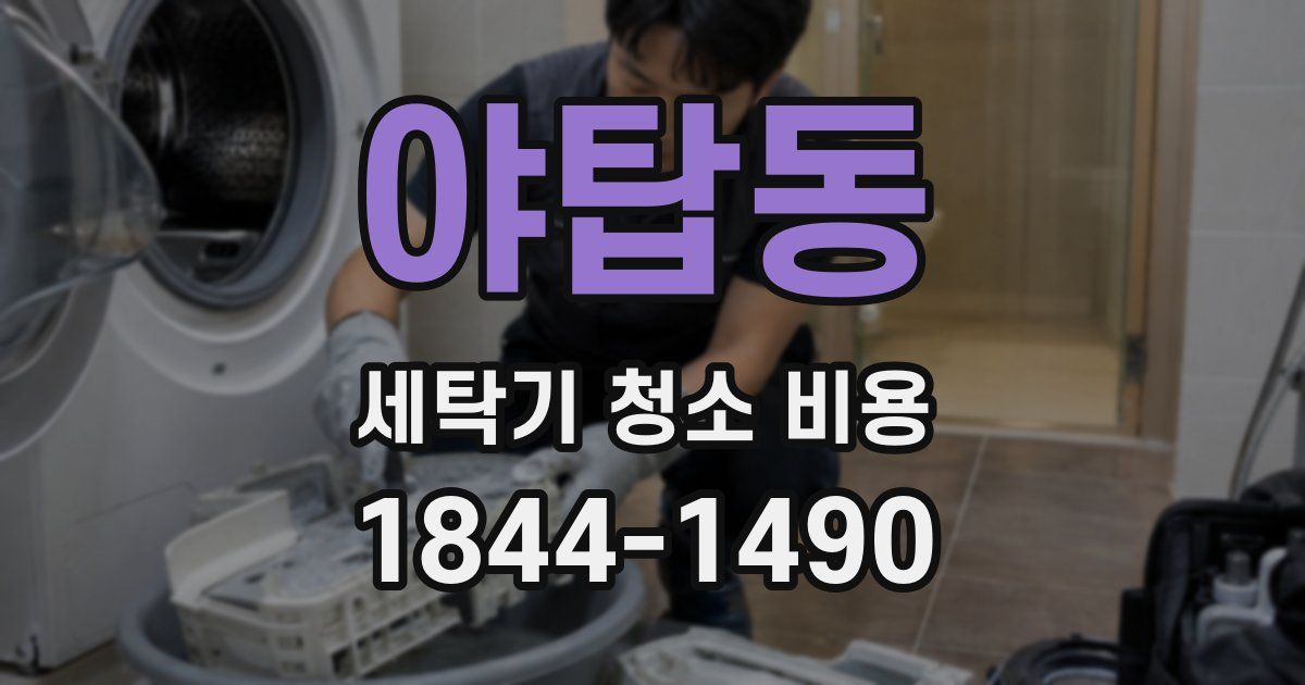 야탑동 세탁기 청소 비용