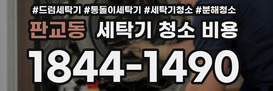 판교동 세탁기 청소 비용