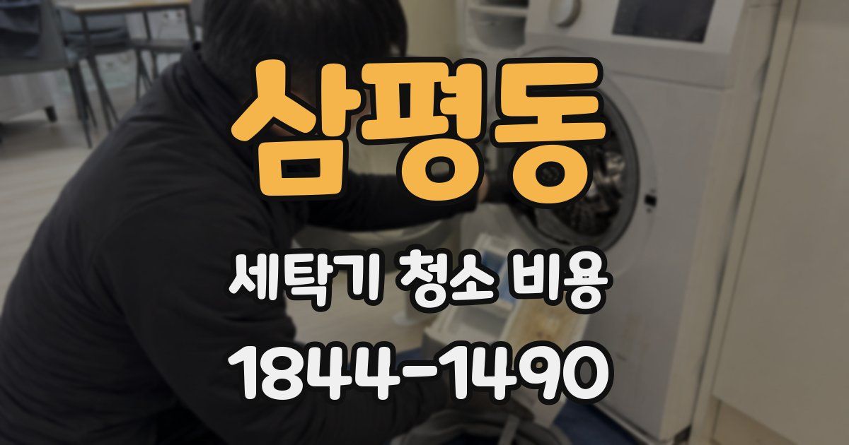 삼평동 세탁기 청소 비용