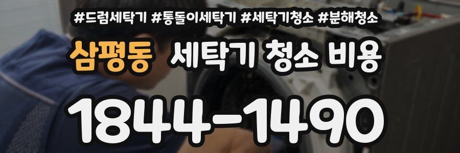 삼평동 세탁기 청소 비용