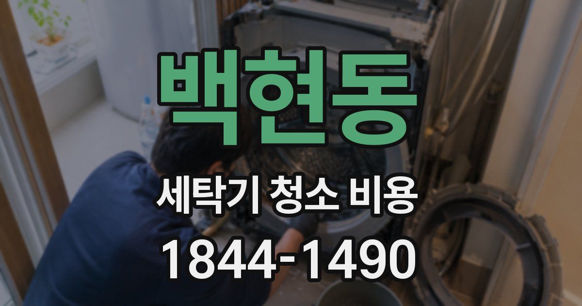 백현동 세탁기 청소 비용