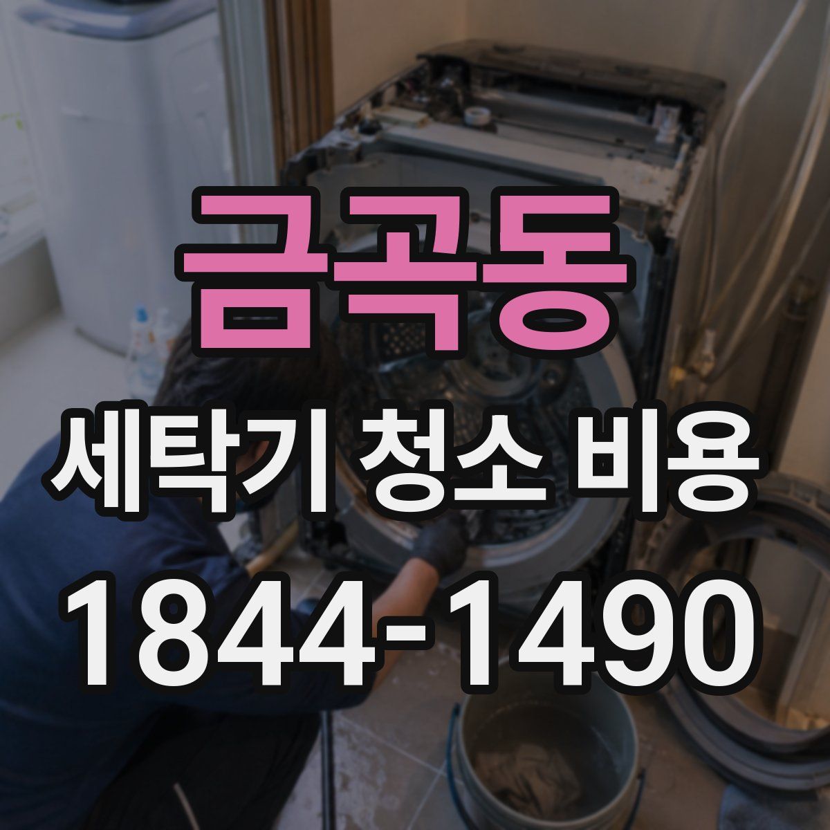 금곡동 세탁기 청소 비용