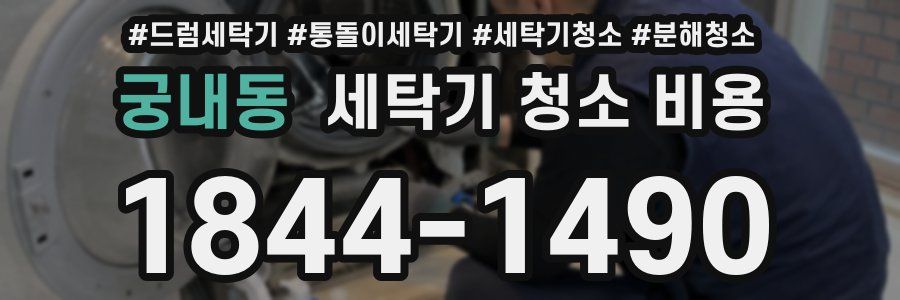 궁내동 세탁기 청소 비용