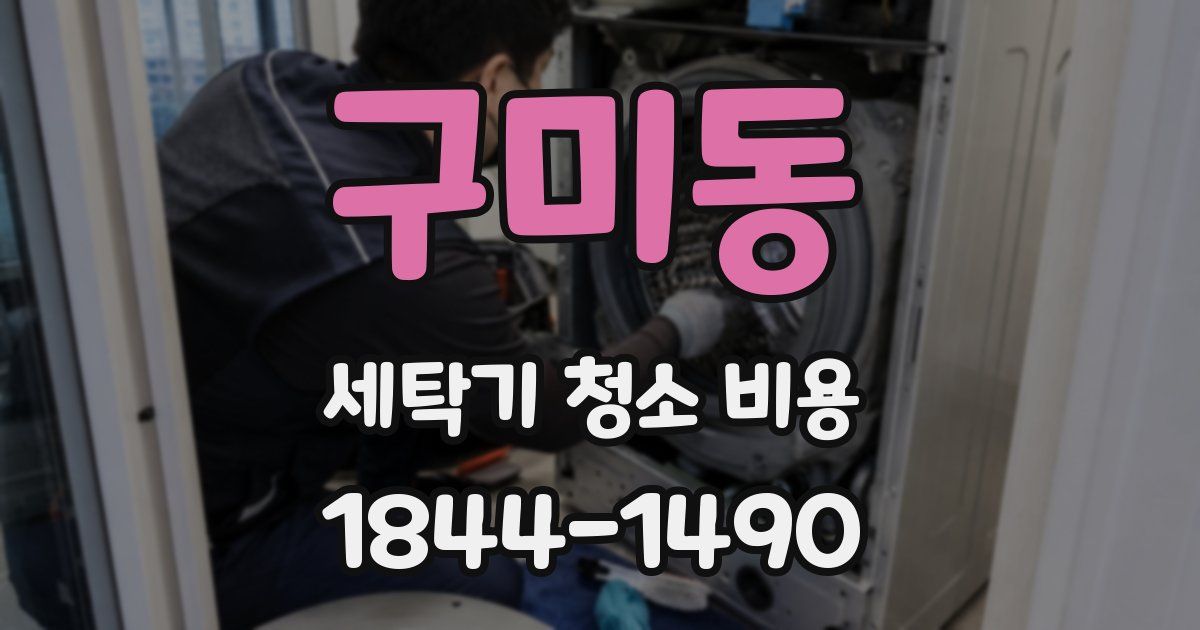 구미동 세탁기 청소 비용