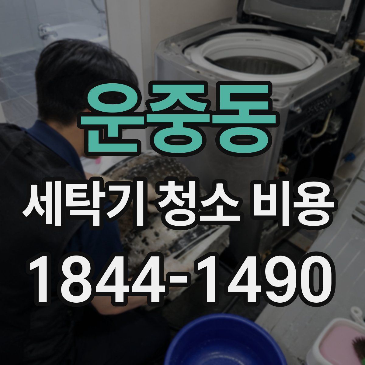 운중동 세탁기 청소 비용