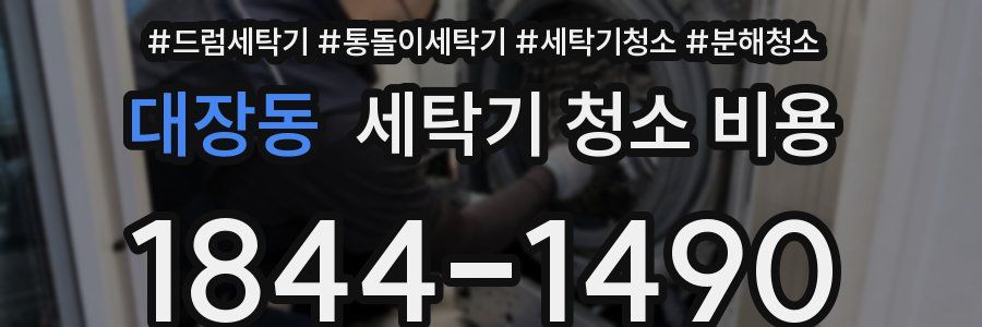 대장동 세탁기 청소 비용