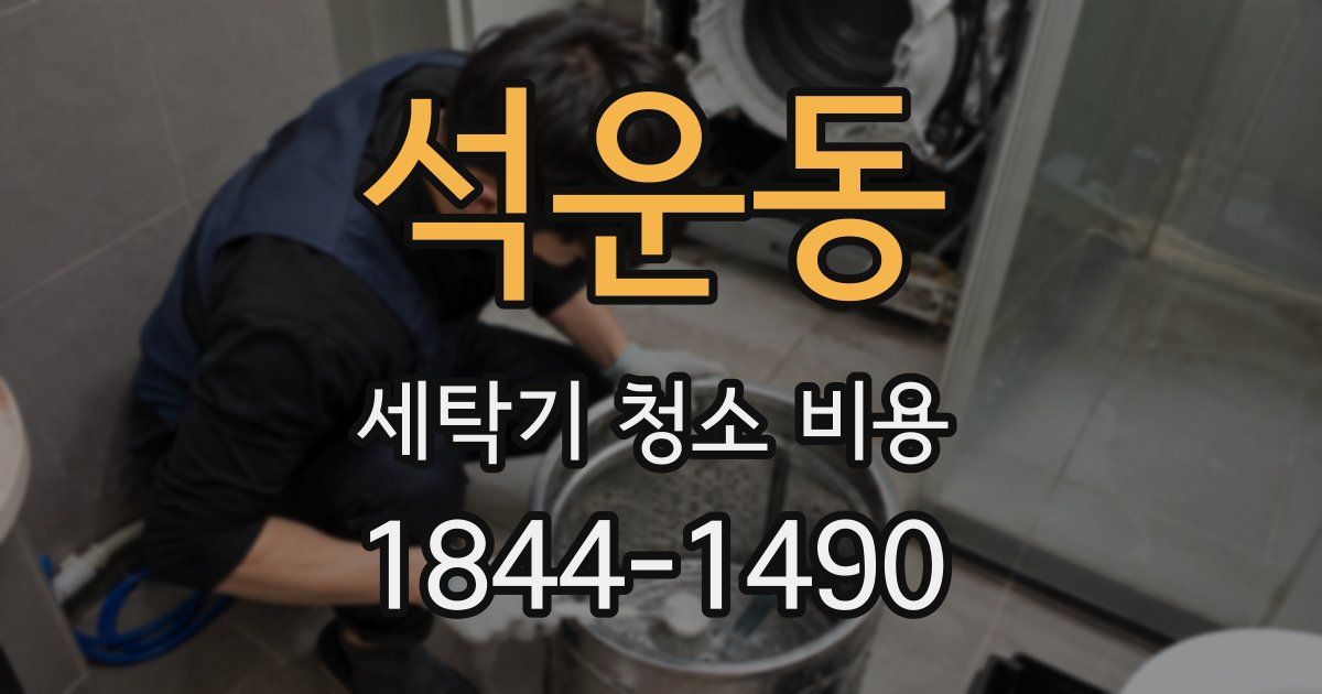 석운동 세탁기 청소 비용