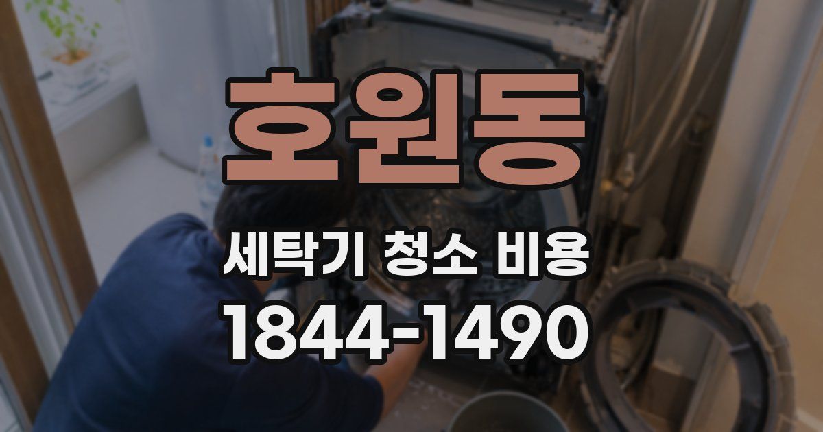 호원동 세탁기 청소 비용