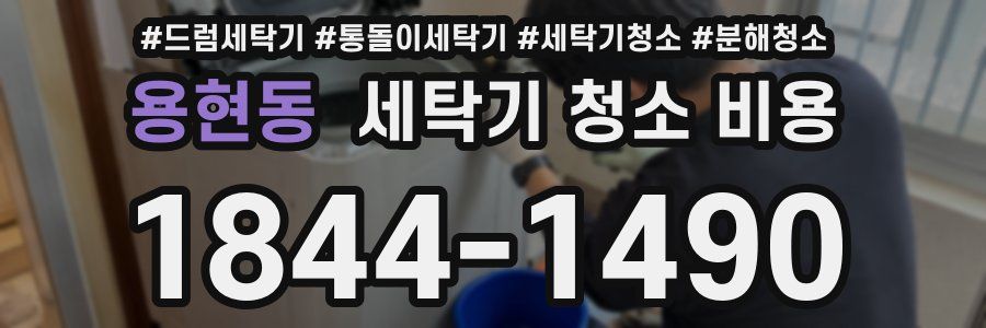 용현동 세탁기 청소 비용