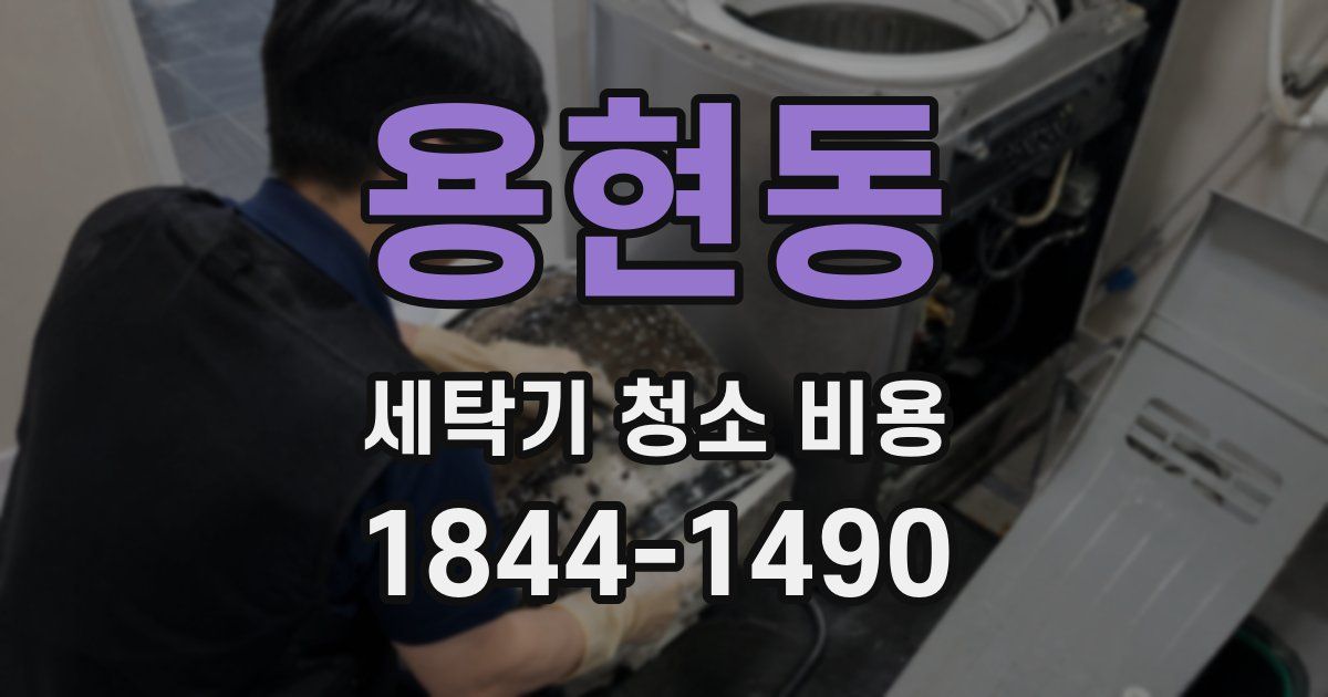 용현동 세탁기 청소 비용