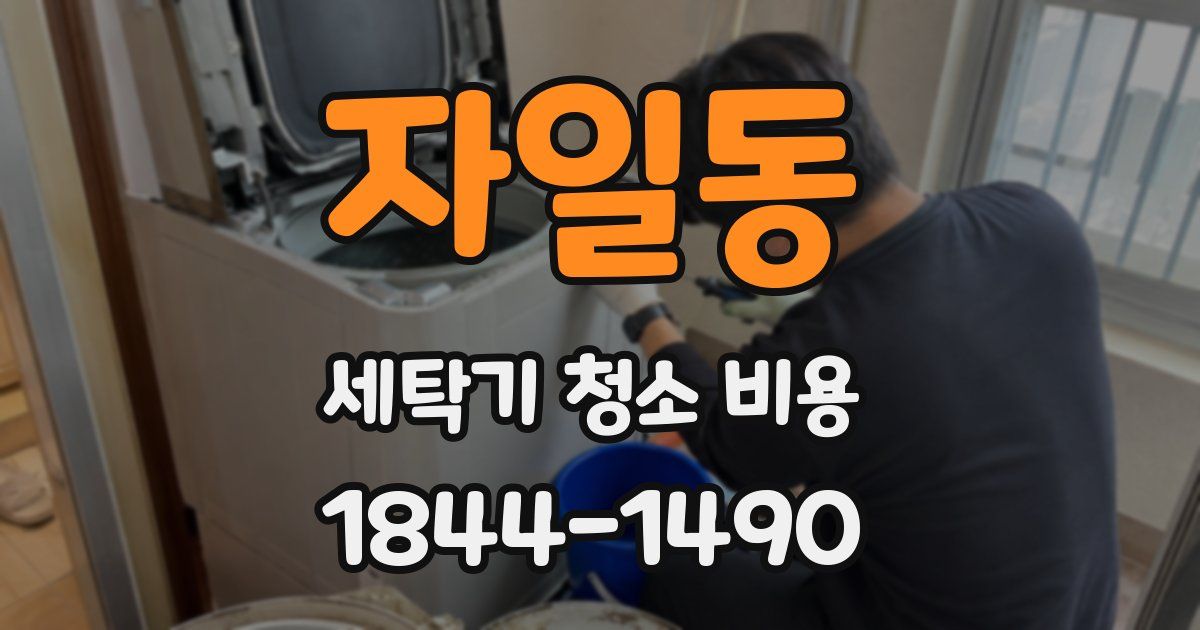 자일동 세탁기 청소 비용