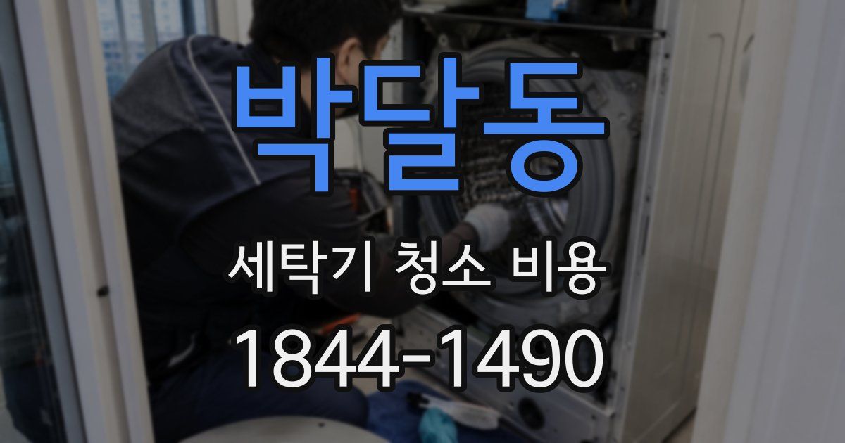 박달동 세탁기 청소 비용