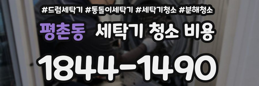평촌동 세탁기 청소 비용