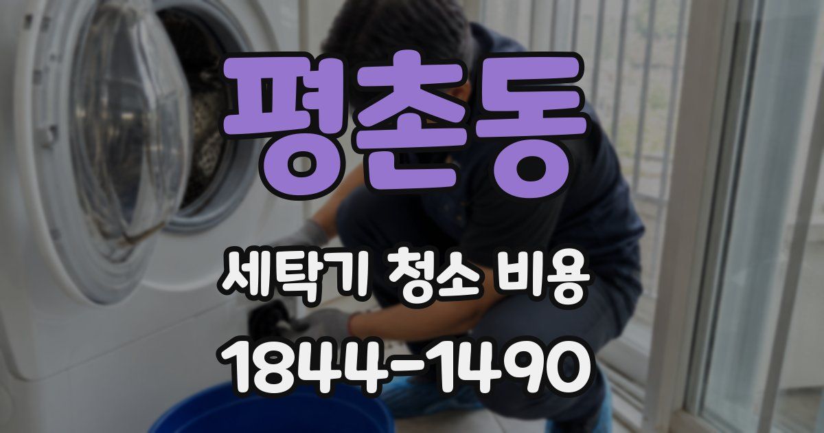 평촌동 세탁기 청소 비용