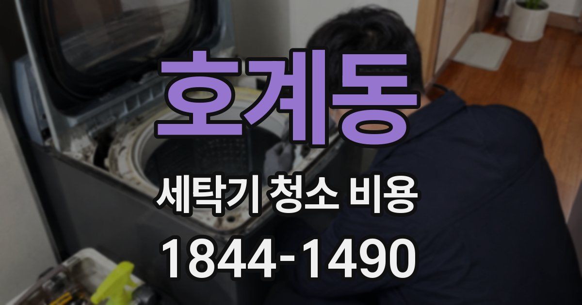호계동 세탁기 청소 비용