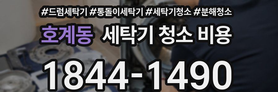 호계동 세탁기 청소 비용