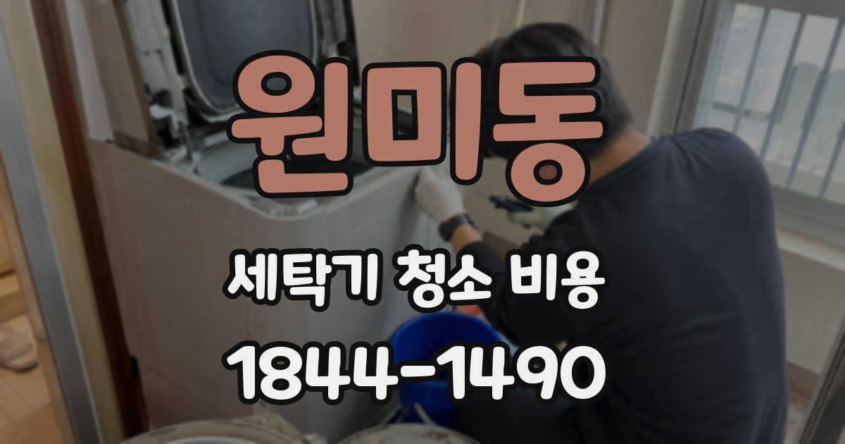 원미동 세탁기 청소 비용