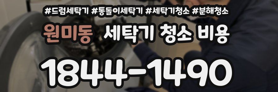 원미동 세탁기 청소 비용