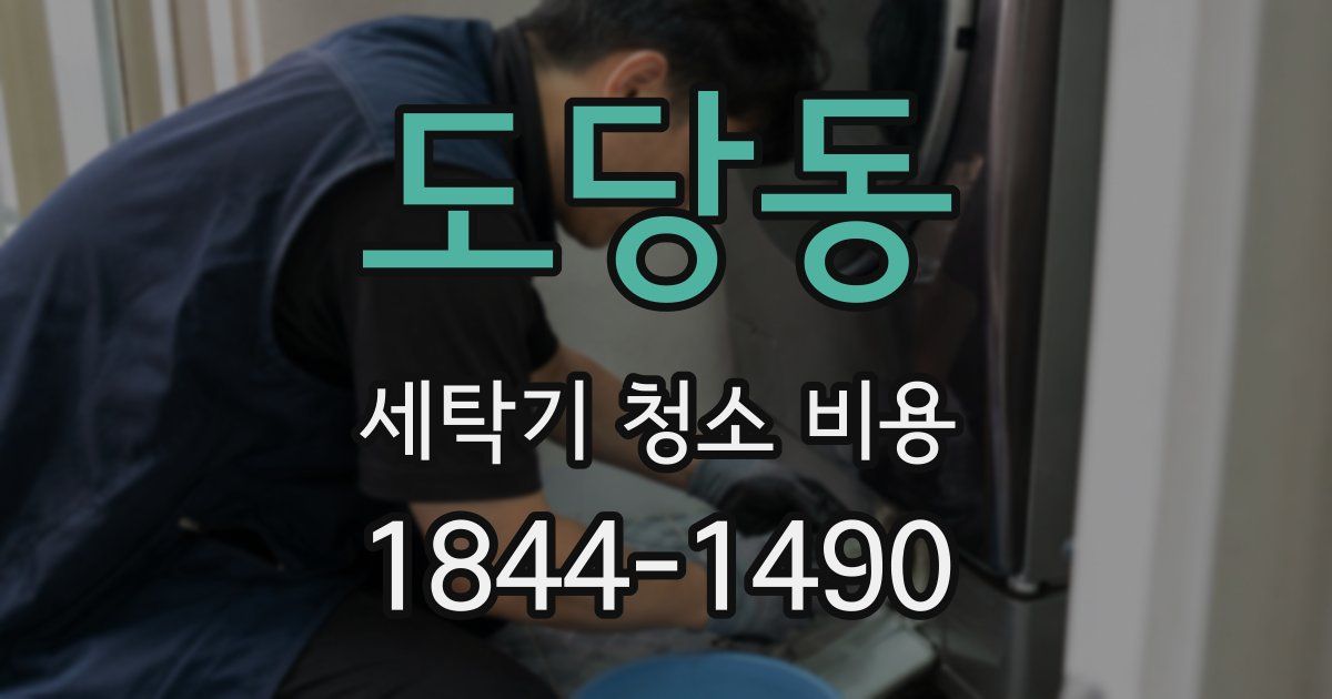 도당동 세탁기 청소 비용