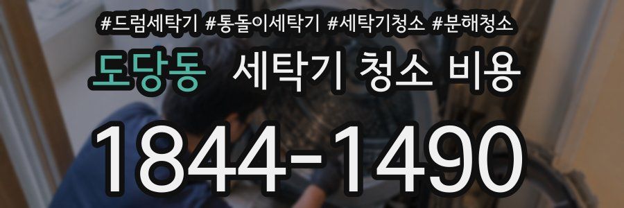 도당동 세탁기 청소 비용