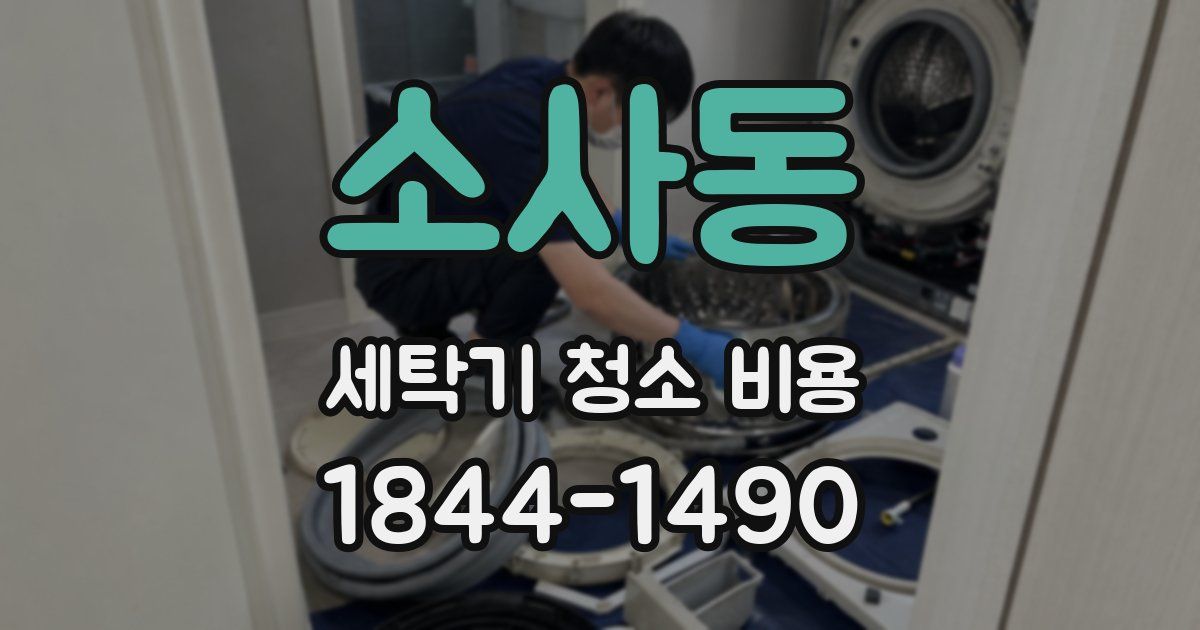 소사동 세탁기 청소 비용