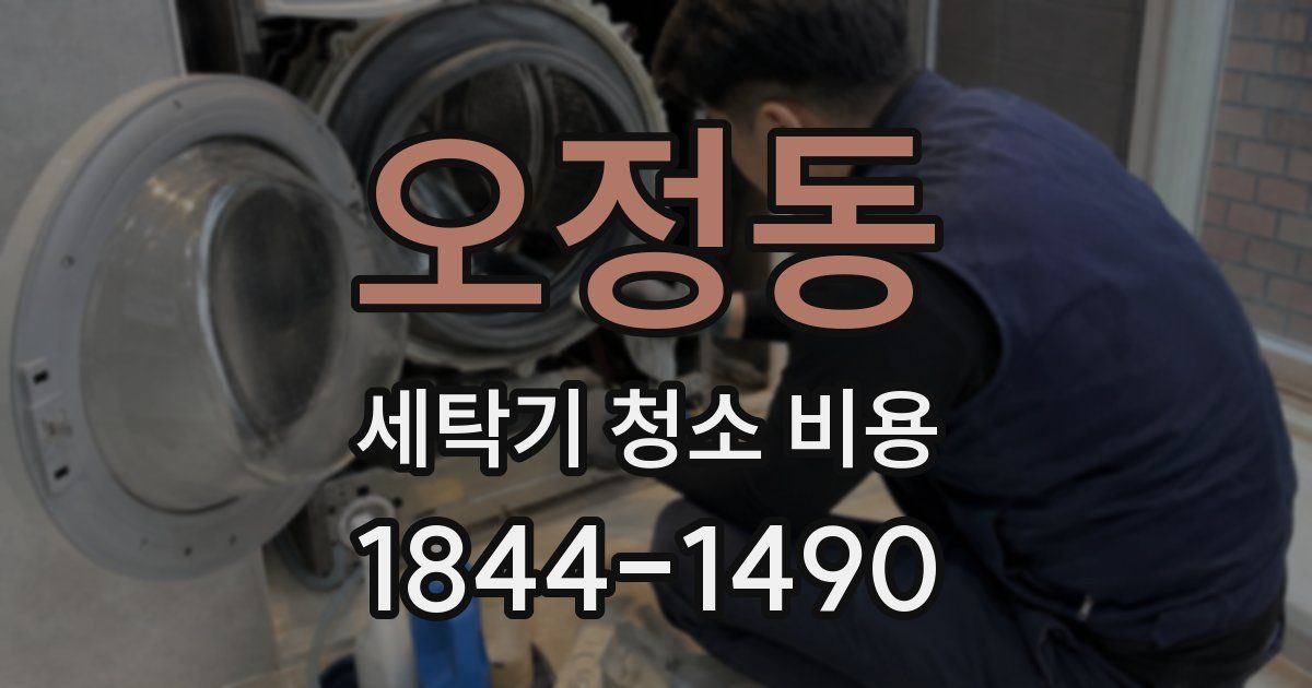 오정동 세탁기 청소 비용