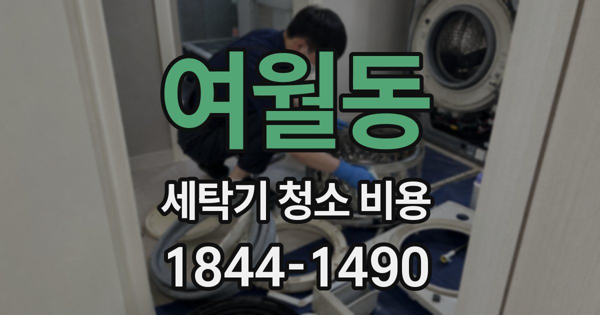 여월동 세탁기 청소 비용