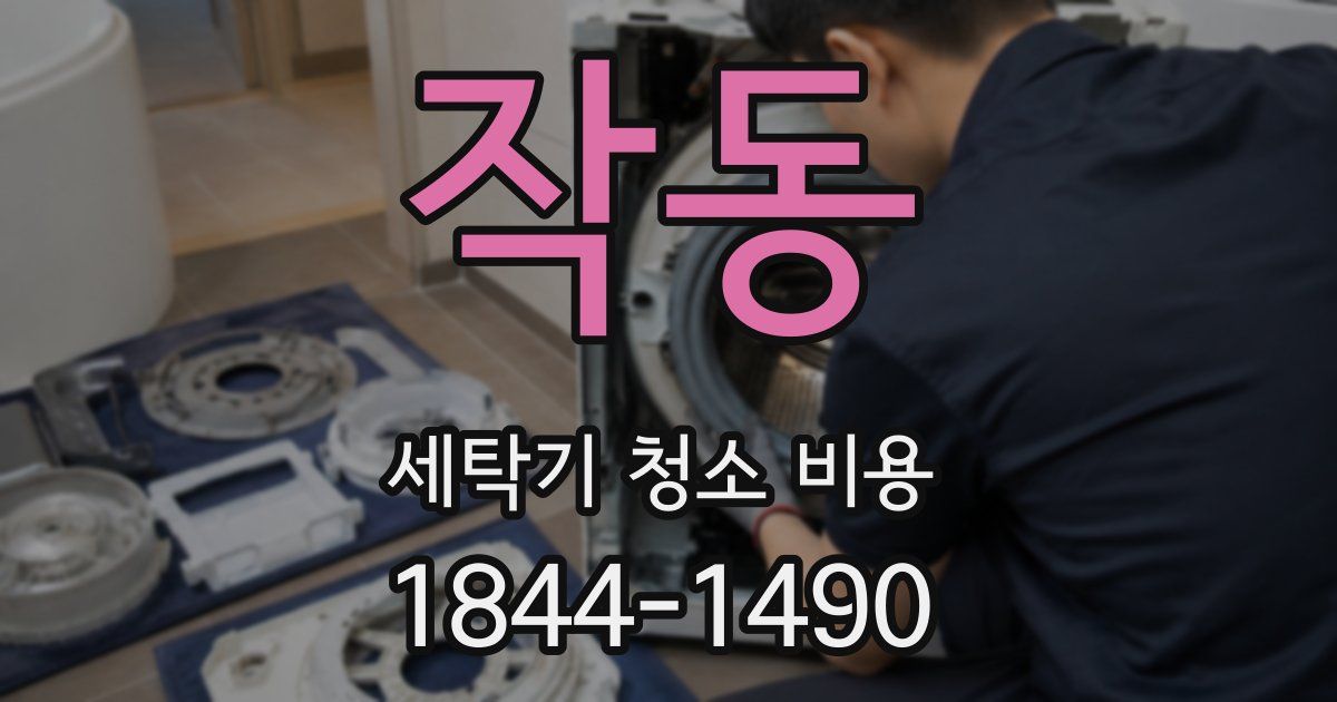 작동 세탁기 청소 비용
