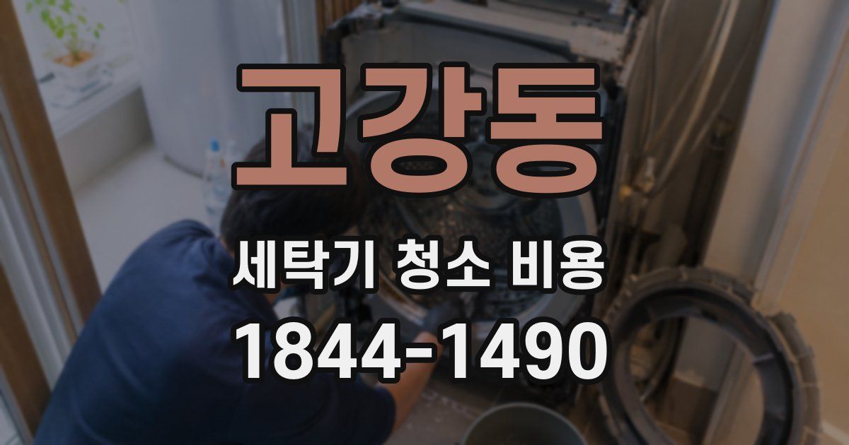 고강동 세탁기 청소 비용