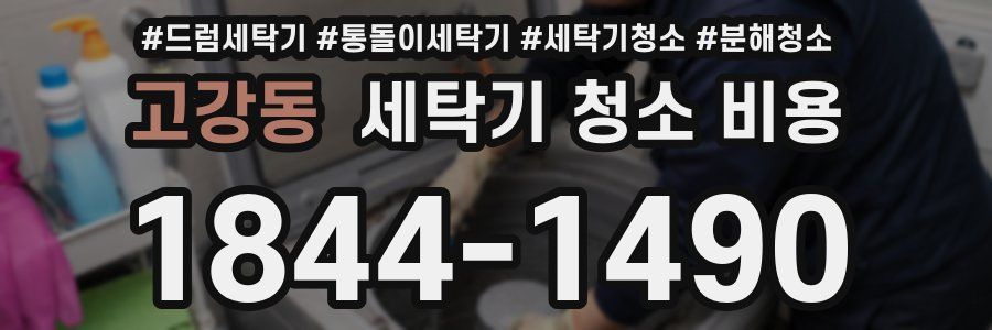 고강동 세탁기 청소 비용