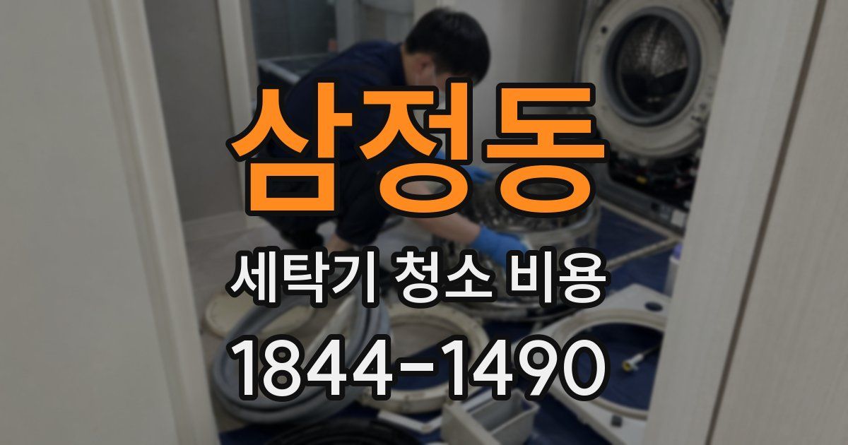 삼정동 세탁기 청소 비용