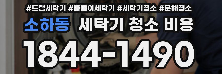 소하동 세탁기 청소 비용