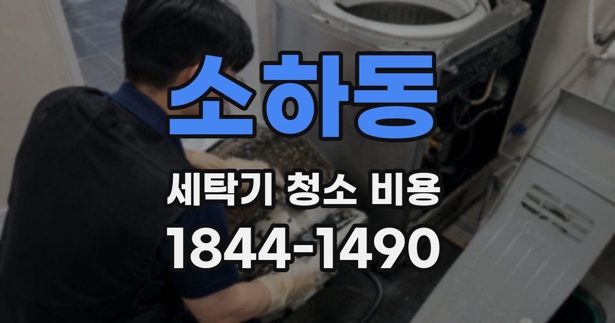 소하동 세탁기 청소 비용