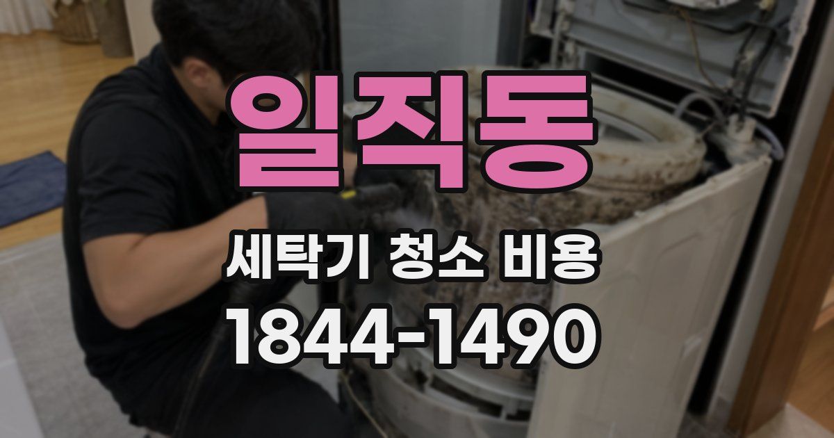 일직동 세탁기 청소 비용