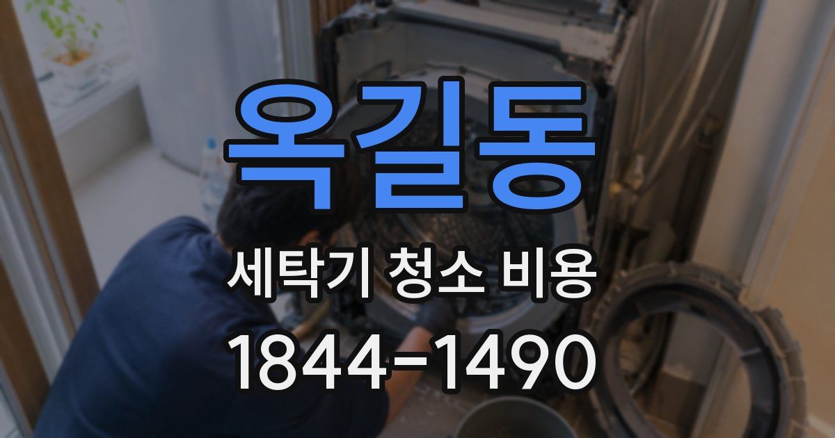 옥길동 세탁기 청소 비용