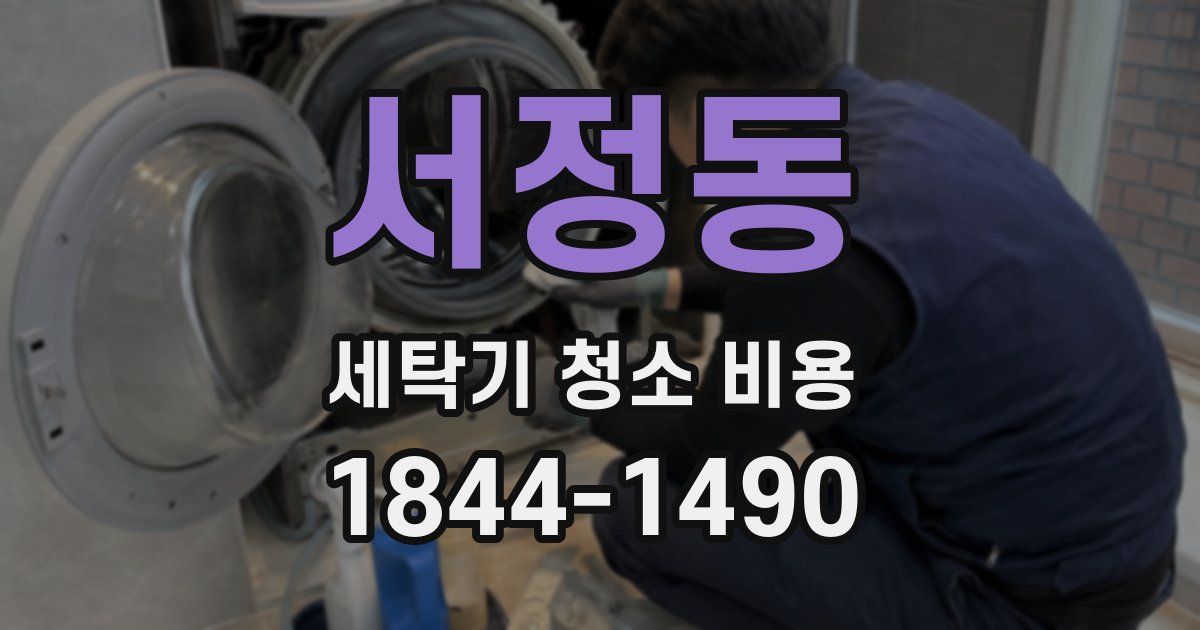 서정동 세탁기 청소 비용